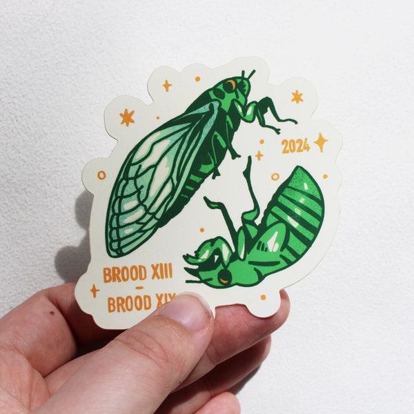 2024 Double Brood Cicada Sticker