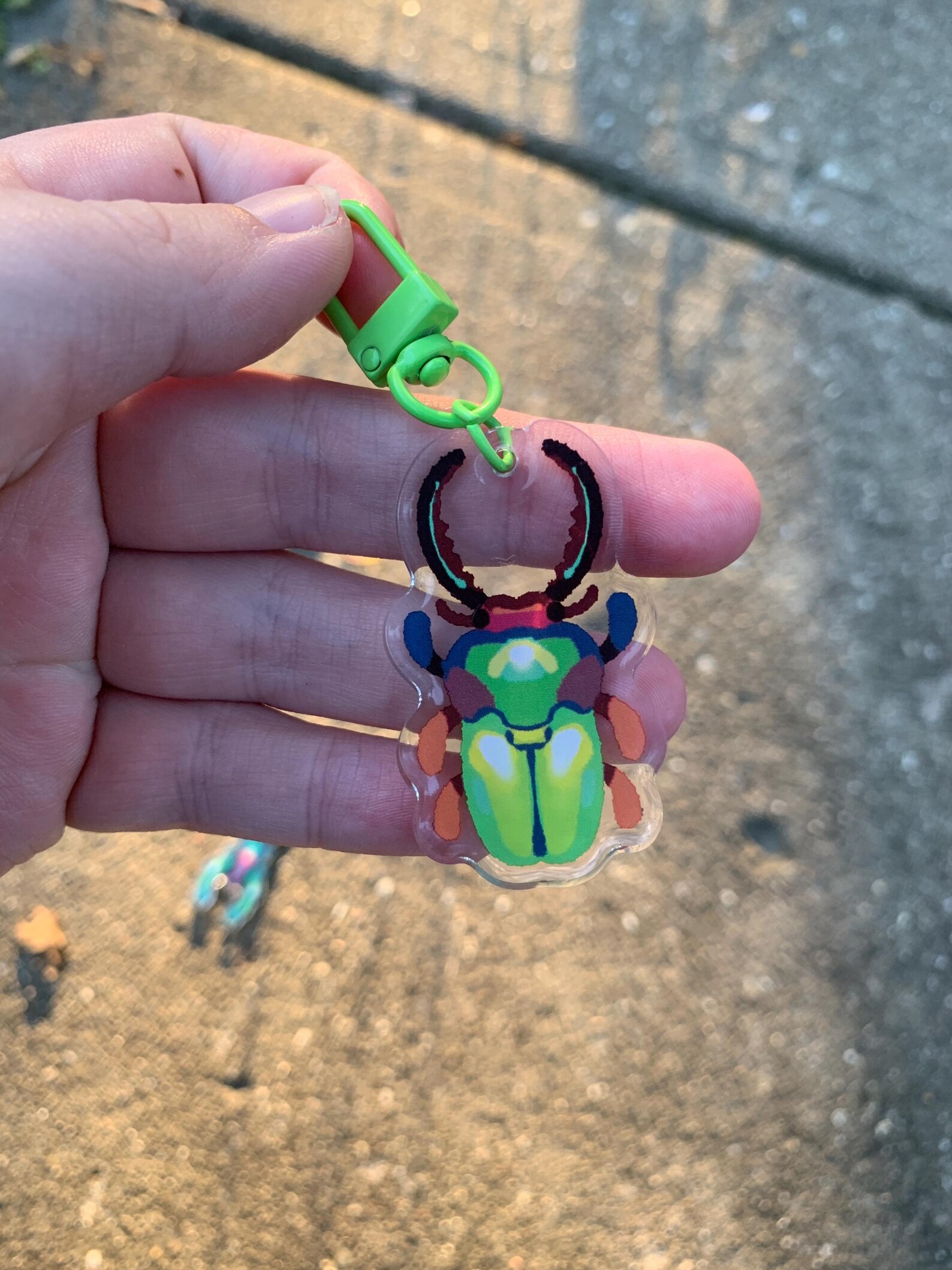 Sawtooth Stag Beetle Acrylic Keychain | Bug Entomology Insect Lover ...