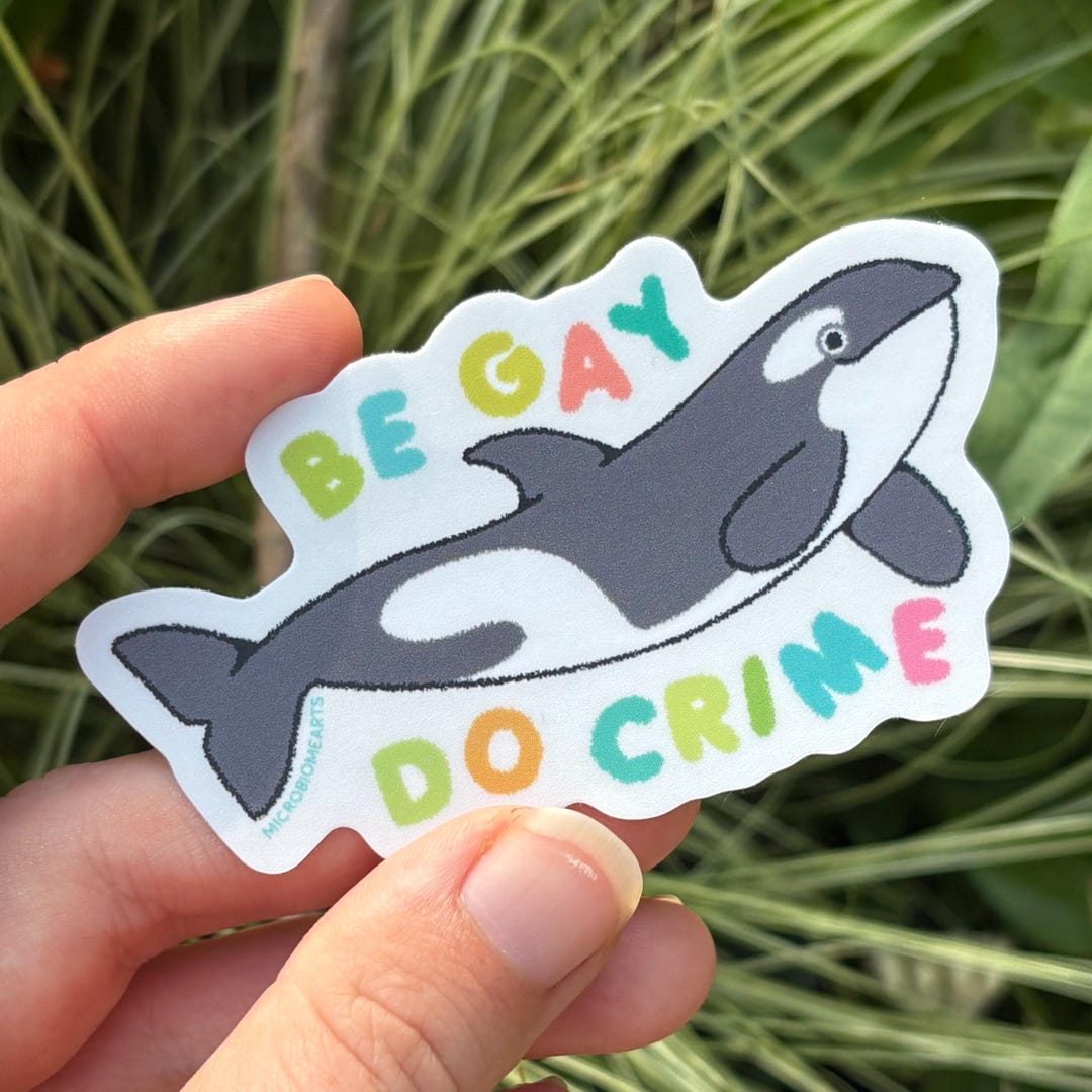 Be Gay Do Crime Orca Sticker | Lgbt Queer Pride Whale Ocean Gift - Etsy