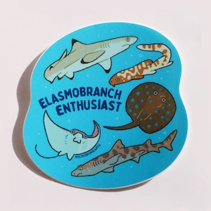May include: A blue, irregularly shaped sticker with cartoon illustrations of elasmobranchs, such as sharks and rays. The text "ELASMOBRANCH ENTHUSIAST" is printed in white. The sticker has a white border and the text "MICROBIOMEARTS" is printed in white.