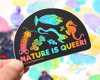 May include: A semi-circular sticker with a black background featuring colorful, gradient-style illustrations of a lobster, fish, eel, seahorse, and small sea creature. The text "NATURE IS QUEER!" and "microbiomearts.com" are printed in rainbow colors.