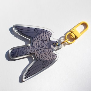 Wanderfalke Acryl Schlüsselbund | Vogel beobachten Greifvogel Falke Kunst