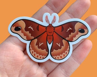 Atlas Moth Silk Moth Vinyl Sticker - Cottagecore - Nature Lover Gift