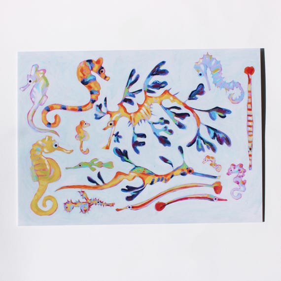 Seahorse and Pipefish Postcard Print | Aquarium Art Fish Marine Biologist Cardstock Print