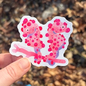 Pygmäen Seepferdchen Sticker | Fisch-Kunst-Rosa Tier Meeresbiologie Geschenk