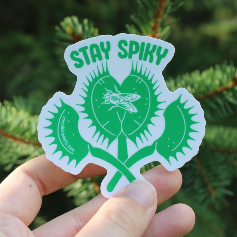 May include: A green and white sticker featuring a Venus flytrap design with a fly inside. The sticker has the words "STAY SPIKY" at the top and the website "microbiomehearts.com" at the bottom.