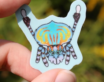 Peacock Jumping Spider Holo Mini Sticker | bug arachnid pet animal gift