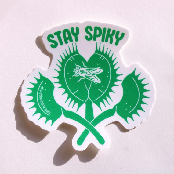 STAY SPIKY Sticker | Venus flytrap plant parent houseplant bug lover gift