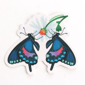 May include: A sticker featuring two butterflies with blue wings and pink and purple accents, positioned on either side of a white daisy with an orange center. The sticker has the text "microbiomearts.com" on a green stem.