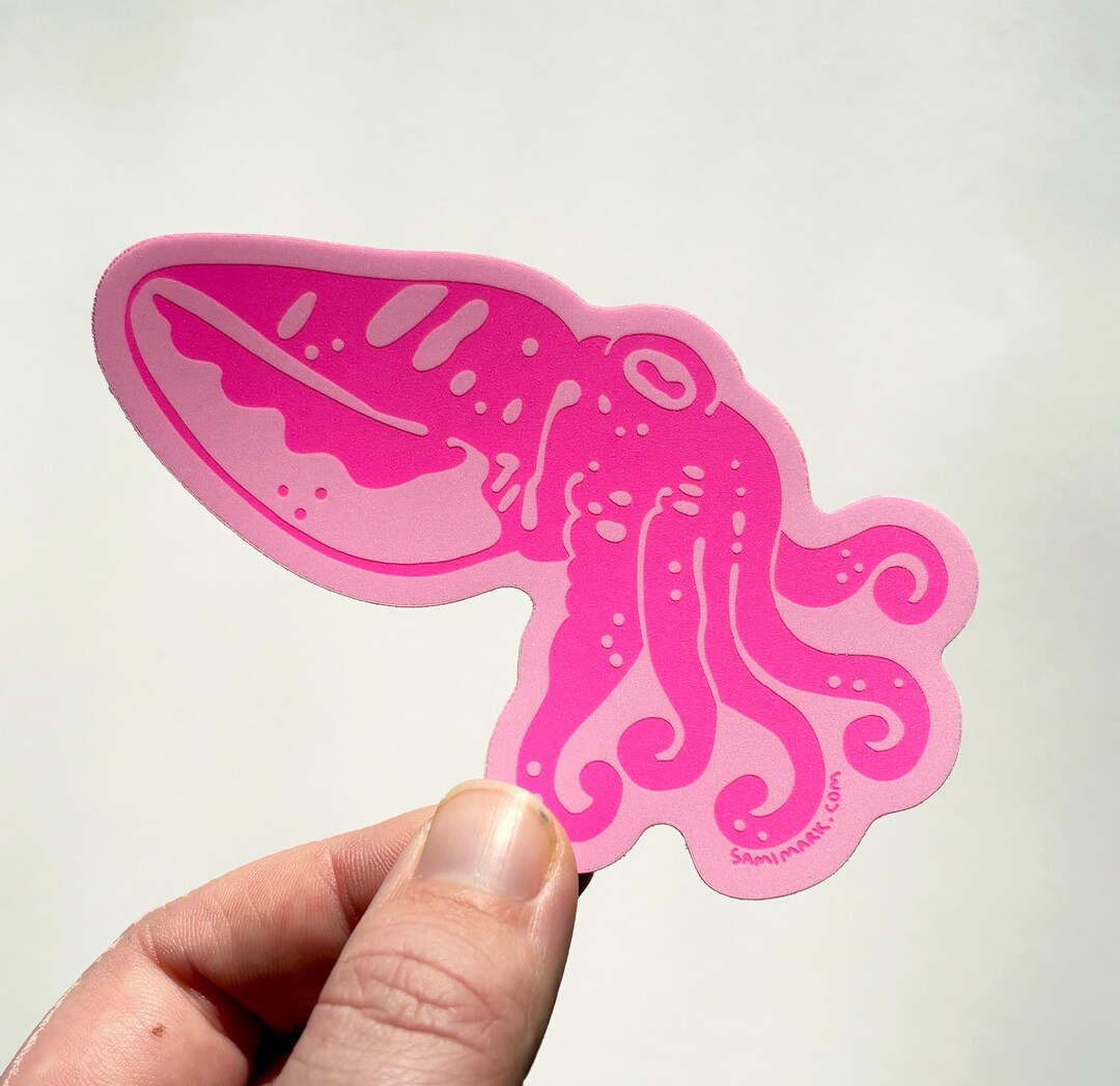 Color Morphing Cuttlefish Sticker | Marine Biology Cephalopod Gift - Etsy