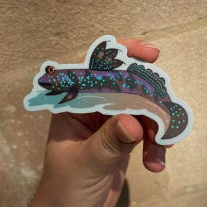 May include: A die-cut sticker featuring a mudskipper fish with a purple body, dark brown fins, and bright blue iridescent spots. The fish has a prominent orange eye and is depicted resting on a light blue patch of water. The text MICROBEARTS.COM is visible.