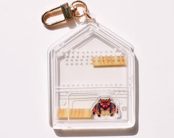 Jumping Spider Shaker Charm |  Bug Arachnid Pet Keychain Gift