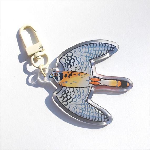 American Kestrel Acrylic Keychain | birding raptor falcon art