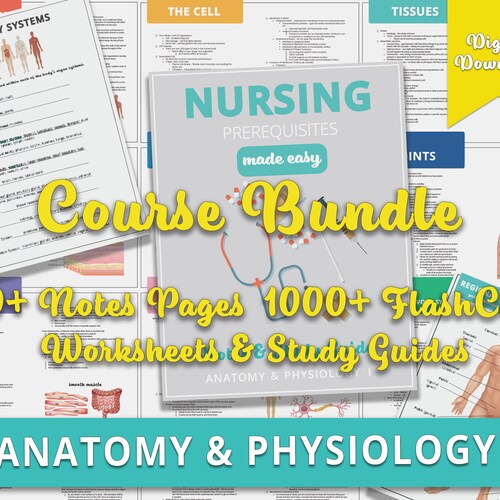 Anatomy Notes Digital Flash Cards Bundle Anatomy and Etsy