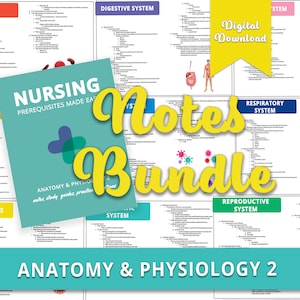 Anatomy & Physiology 2 Notes Bundle for Nursing Students (eBook)