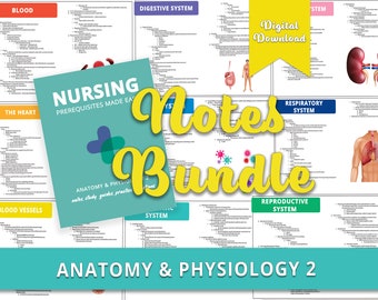 Anatomy & Physiology 2 Notes Bundle for Nursing Students (eBook)
