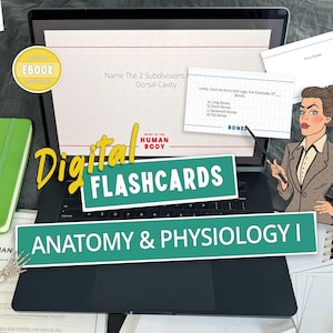 Anatomy Flashcards Bundle | Anatomy and Physiology Flashcards | Anatomy & Physiology 1 | Anatomy Notes | Digital Download