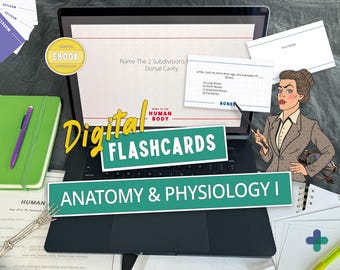 Anatomie en fysiologie Flashcards-bundel (digitale download)