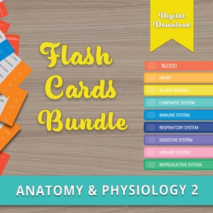 Anatomie Lernkarten für Studenten | Anatomie und Physiologie 2 | -eBook