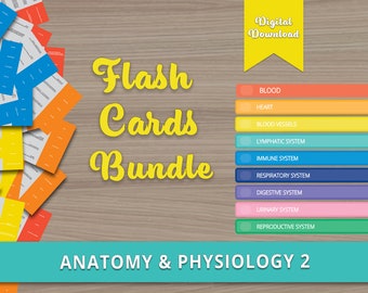 Anatomie en fysiologie 2 Flashcards: studiehulp student verpleegkunde (e-boek)