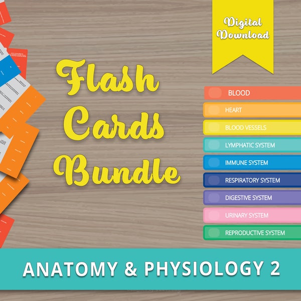 Anatomy Notes Digital Flash Cards Bundle, Anatomy and Physiology 2, Digital Download