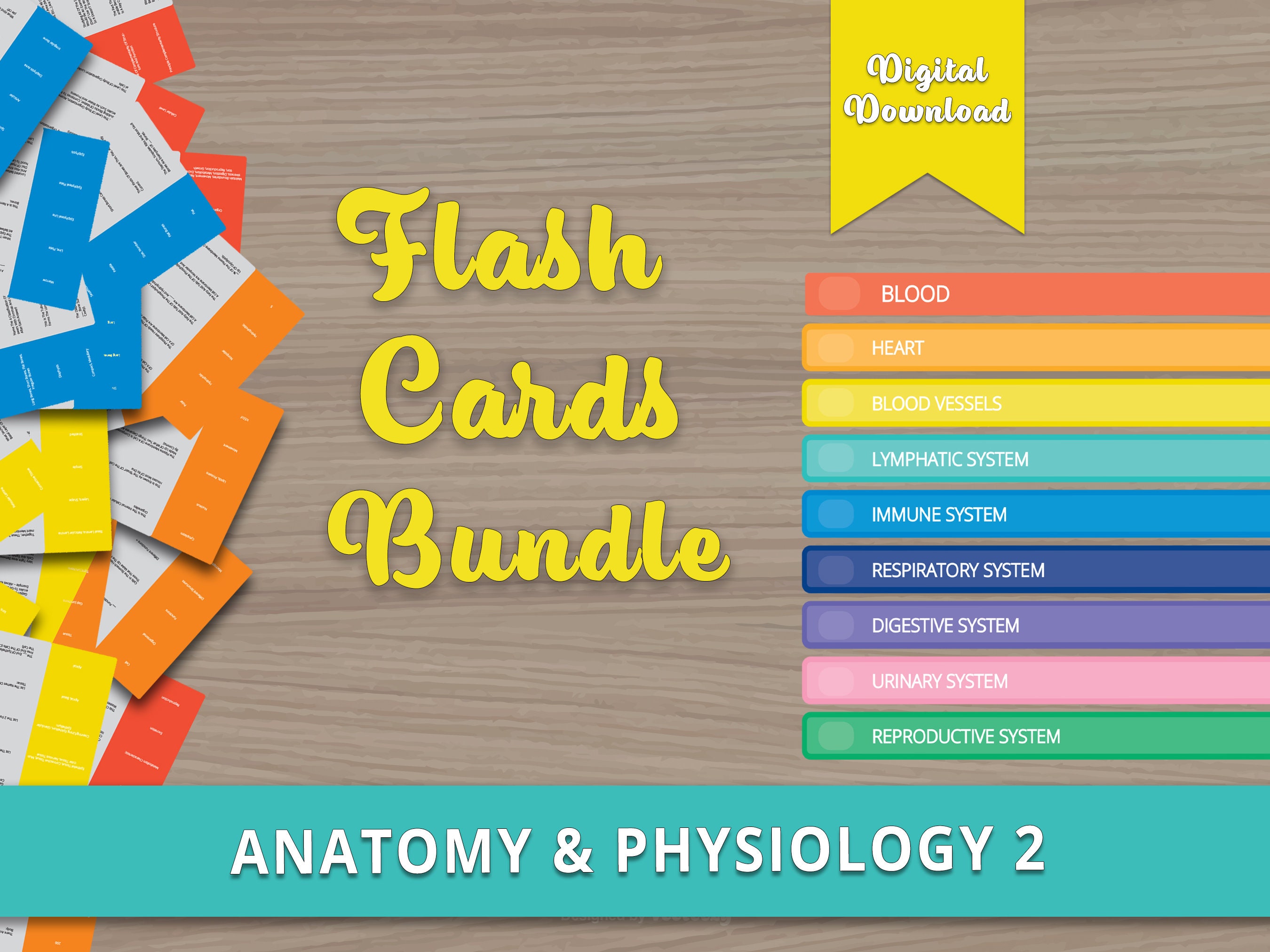 Anatomy Notes Digital Flash Cards Bundle Anatomy and Etsy