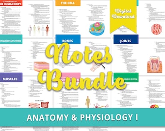 Anatomie Noten Bündel, Anatomie und Physiologie, digitaler Download