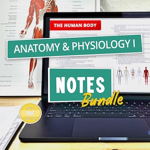 Anatomía y fisiología para estudiantes de enfermería y preenfermería / Apuntes de AP 1 (PDF) / Escuela de enfermería / Apuntes de enfermería / Descarga digital