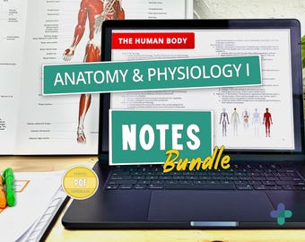 Anatomy & Physiology Notes Bundle: Nursing School AP 1 (PDF Download)
