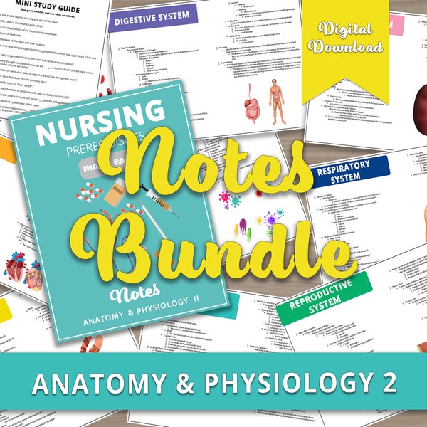 Anatomy Notes Bundle, Anatomy and Physiology 2, Digital Download