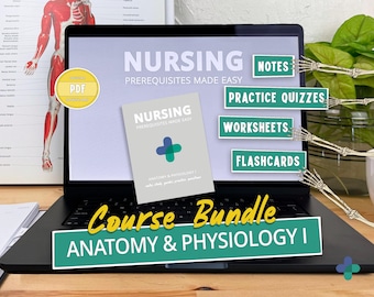 Studiepakket anatomie en fysiologie: aantekeningen verpleegkunde, flashcards (digitale download)