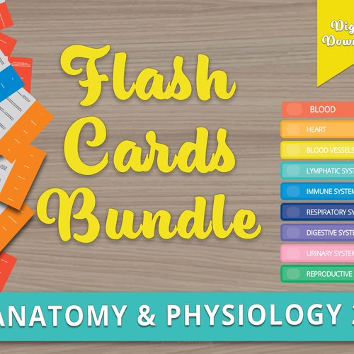 Anatomy Notes Digital Flash Cards Bundle Anatomy and Etsy Australia