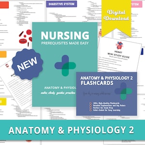 Anatomy & Physiology for Pre-Nursing and Nursing Students | AP 2 |  Anatomy Notes | Flashcards | Anatomy Study Guide | Nursing Notes | eBook