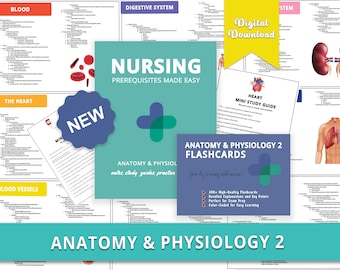 Anatomie en fysiologie 2: aantekeningen voor verpleegschool, flashcards (e-boek)