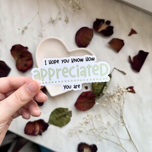 Spero che tu sappia quanto sei apprezzato Adesivo / adesivo in vinile lucido, adesivo per l'amor proprio adesivo per la cura di sé / adesivo motivazionale impermeabile