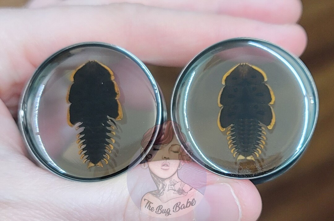 32mm, 38mm Triobite Beetle Plugs, Cottage Core, Witchy, Body Jewelry