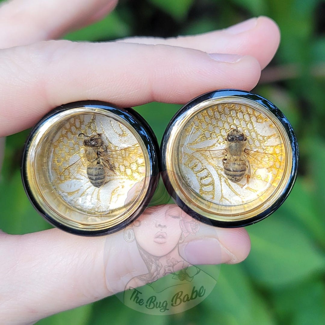 25mm 1 In Black and Gold Filigree Honey Bee Plugs, Fairycore ...