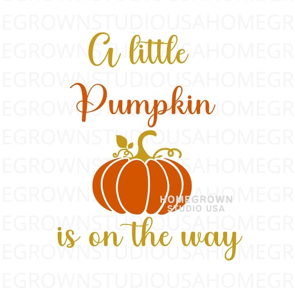 A Little Pumpkin Is On The Way SVG, Baby Announcement, Little Pumpkin Banner Svg, Dxf, Eps Png Jpg, Instant Download for Cricut, Silhouette