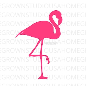 Rosa Flamingo SVG, Flamingo Clipart Vektor, Flamingo Silhouette, Svg, Dxf, Eps Png Jpg, Sofort Download für Cricut Glowforge, Silhouette
