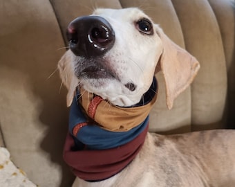 snood| dog snood | greyhound snood | snood for ears | snood for greyhounds | snood for whippets | snood for salukis | snood for sighthounds