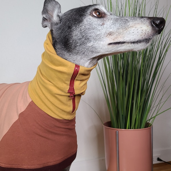 Greyhound pajamas | greyhound coat | greyhound tee | long sleeved greyhound shirt | Saluki Clothing | Greyhound Clothing | Greyhound Jumper