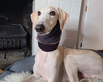 snood| dog snood | greyhound snood | snood for ears | snood for greyhounds | snood for whippets | snood for salukis | snood for sighthounds