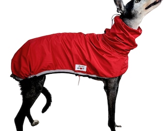 POPPY - Greyhound|Whippet|Saluki|Galgo | Raincoat