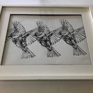 A trio of birds