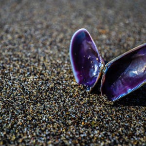 May include: A white ceramic mug with a black handle and the text "But First, Coffee" in a black, bold font. The mug is on a white surface. The mug is 4 inches tall.
