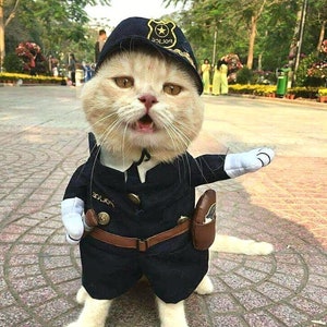 Cat police costume discount