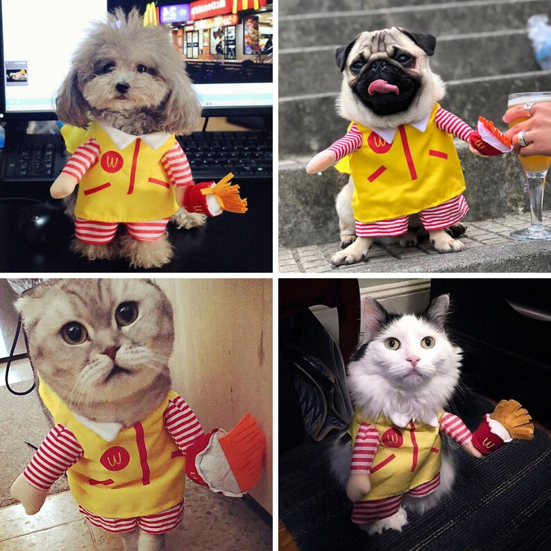 Pet Mcdonalds Ronald Fries Maccas Costume Funny Animal Etsy