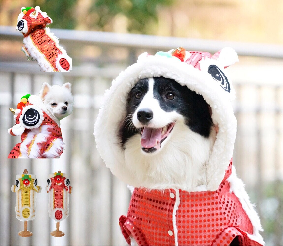 Dog Outfits for Every Spring Occasion