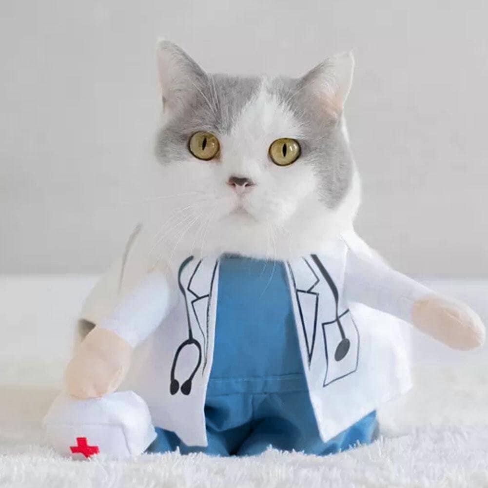 factory supplier cat nurse Costumes a costume