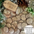 25 Names of Jesus Christ Ornaments, religious, Christian God Christmas ornament scored designs * Digital SVG laser files - Glowforge ready *